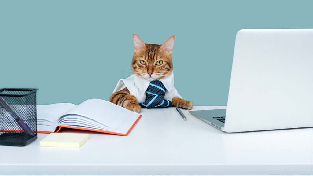 work cat
